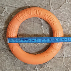 Interactive EVA Training Ring